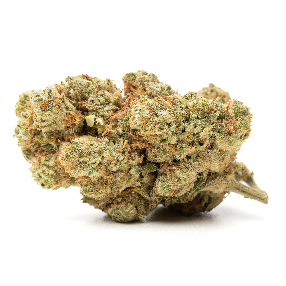 🎁 Amnesia (5G)