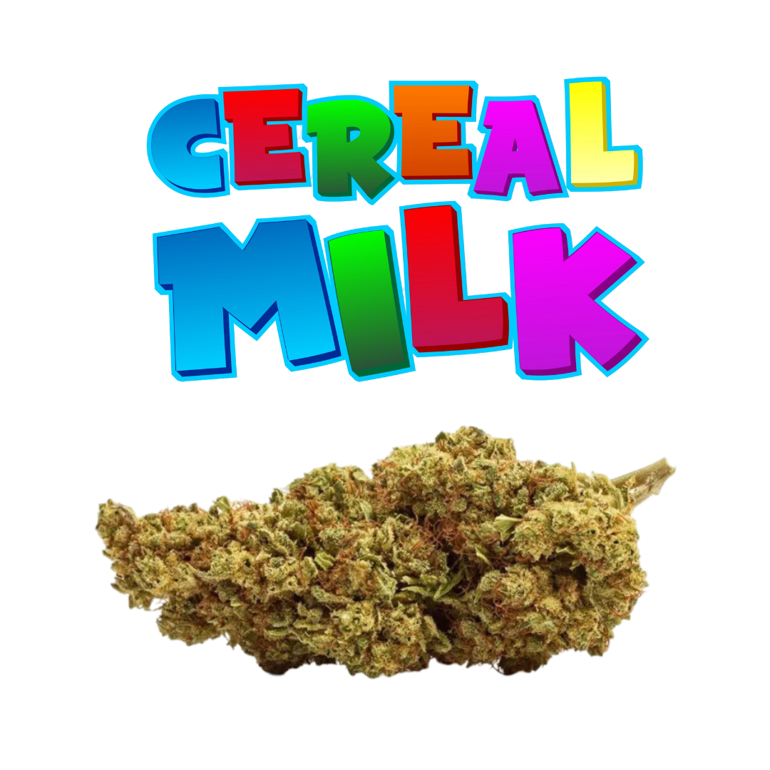 PRÉ ROULÉ CEREAL MILK