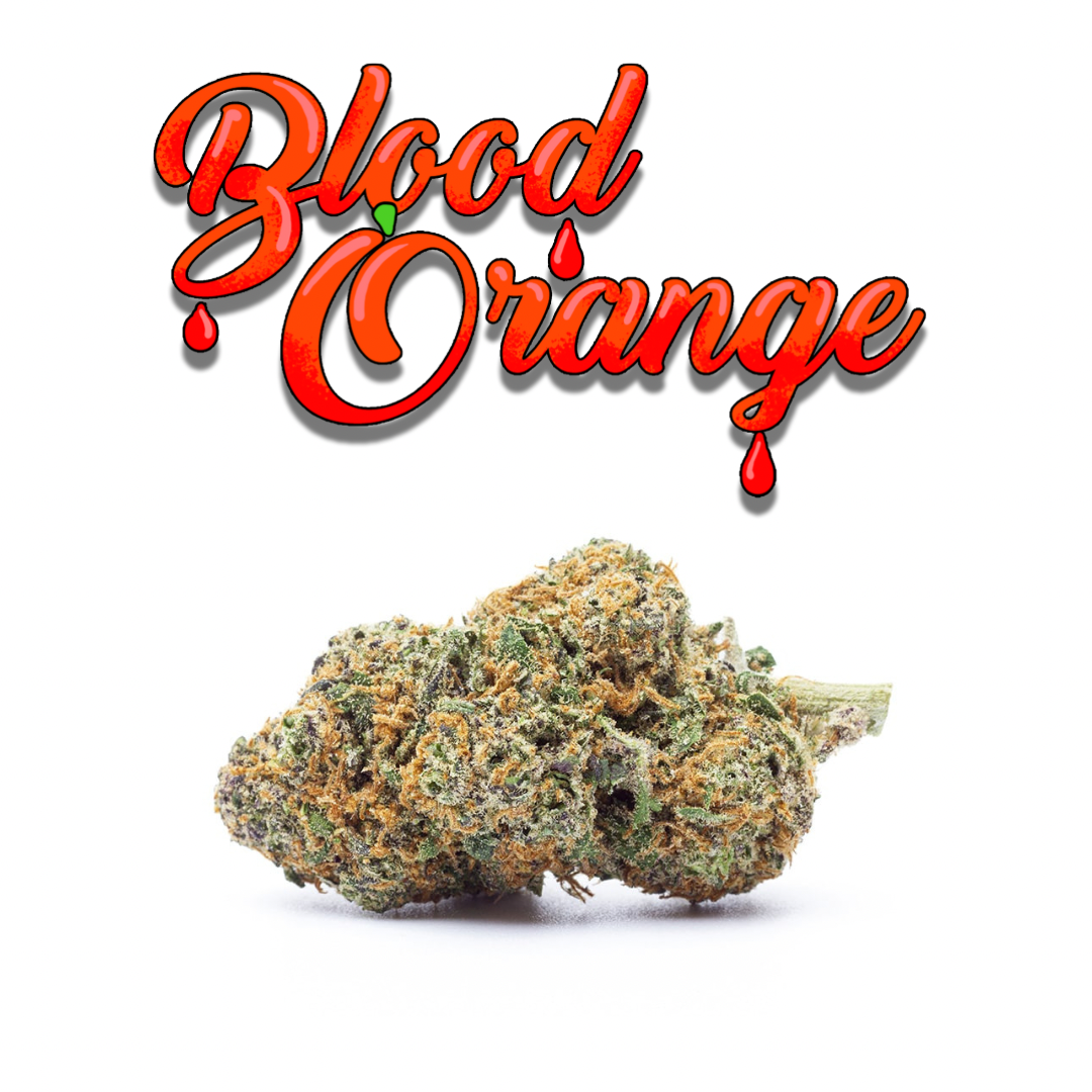 PRÉ ROULÉ BLOOD ORANGE