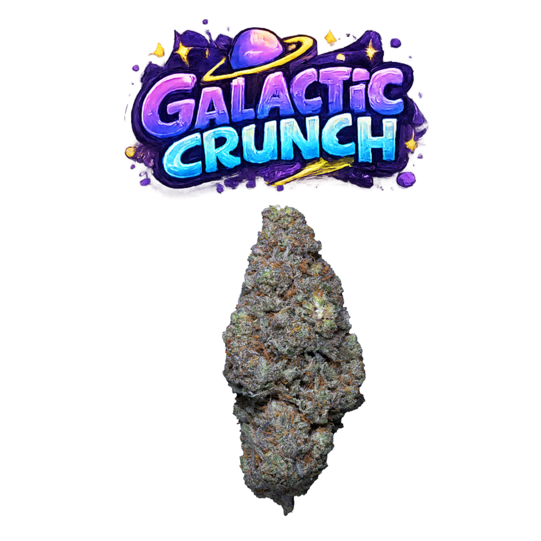 Galactic Crunch - visuel final COLORS