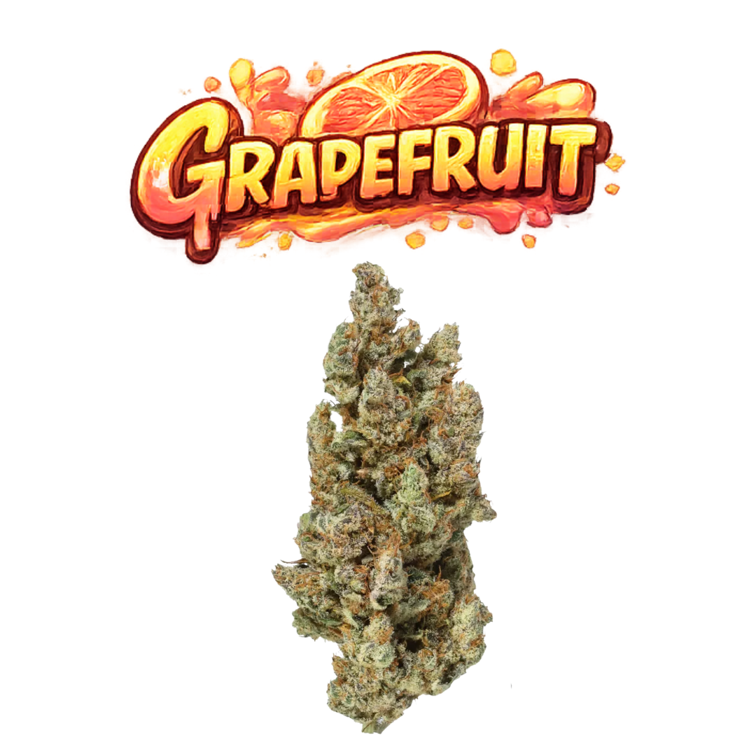 Grapefruit - visuel final COLORS