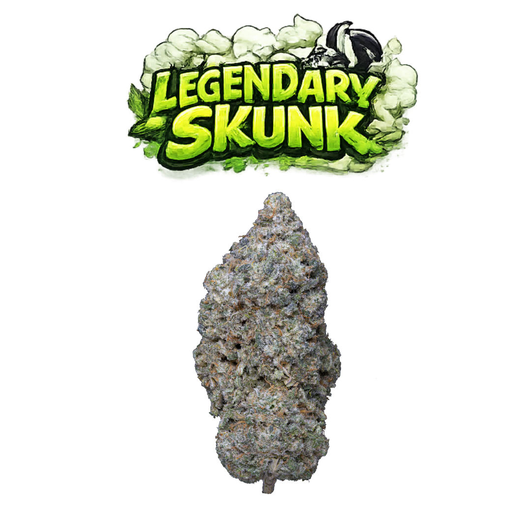 Legendary Skunk - visuel final COLORS