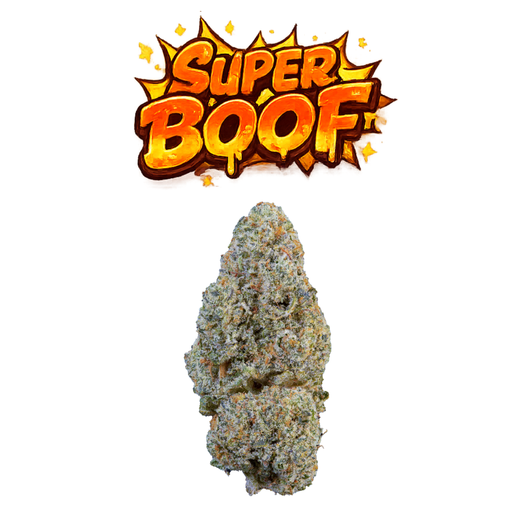 Super Boof - visuel final COLORS