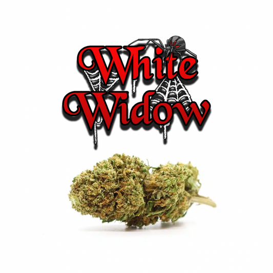 White Widow
