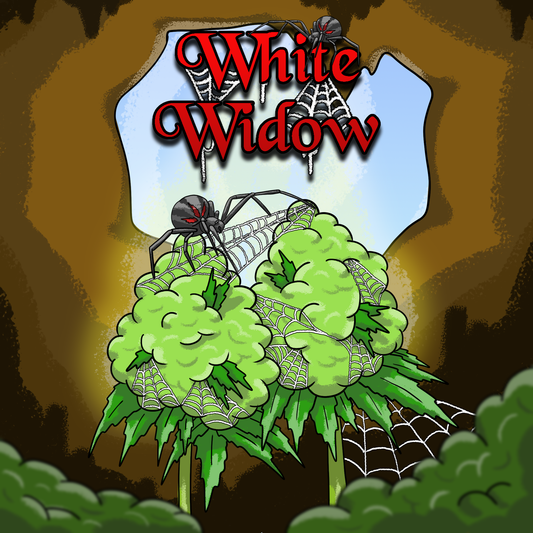 White Widow